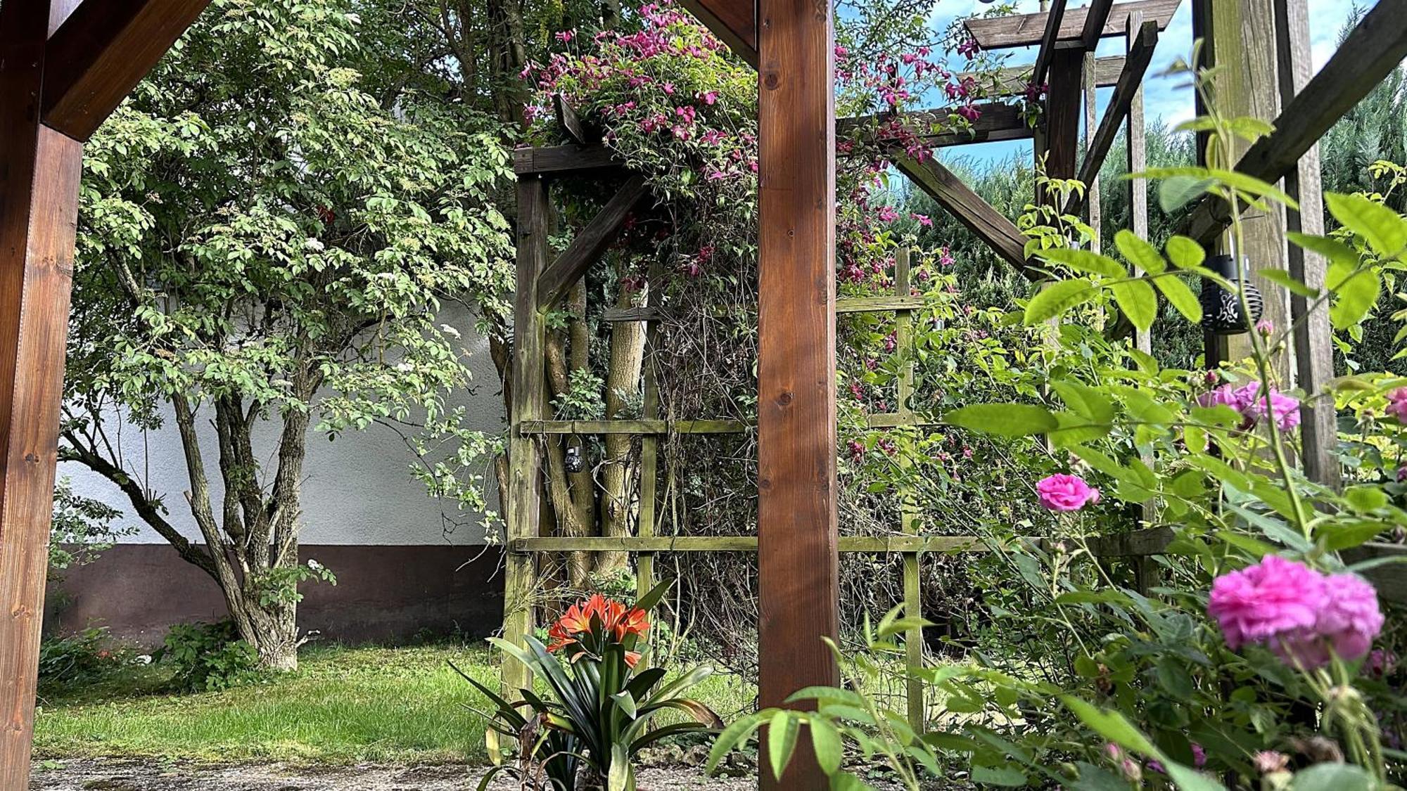 Grosszuegige Wohnung Mit Terrasse Und Gartenzugang - Das Komplette Erdgeschoss 宾德拉赫 外观 照片
